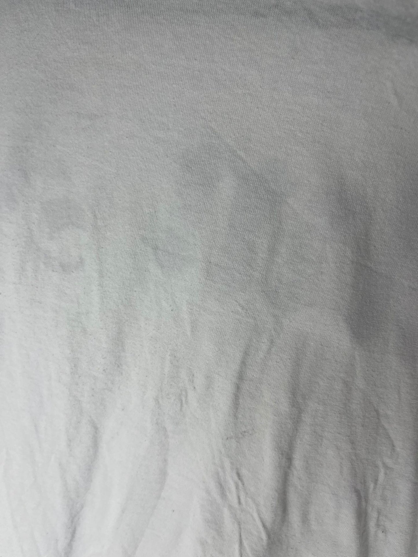 Palm angels T-shirt (L)