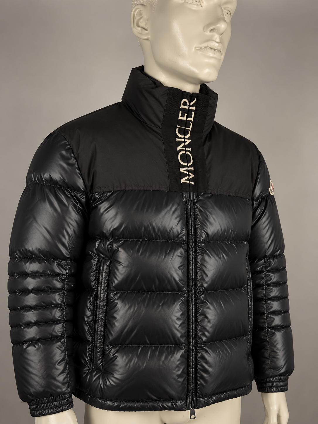 Moncler Bruel Down Jacket (4/L)